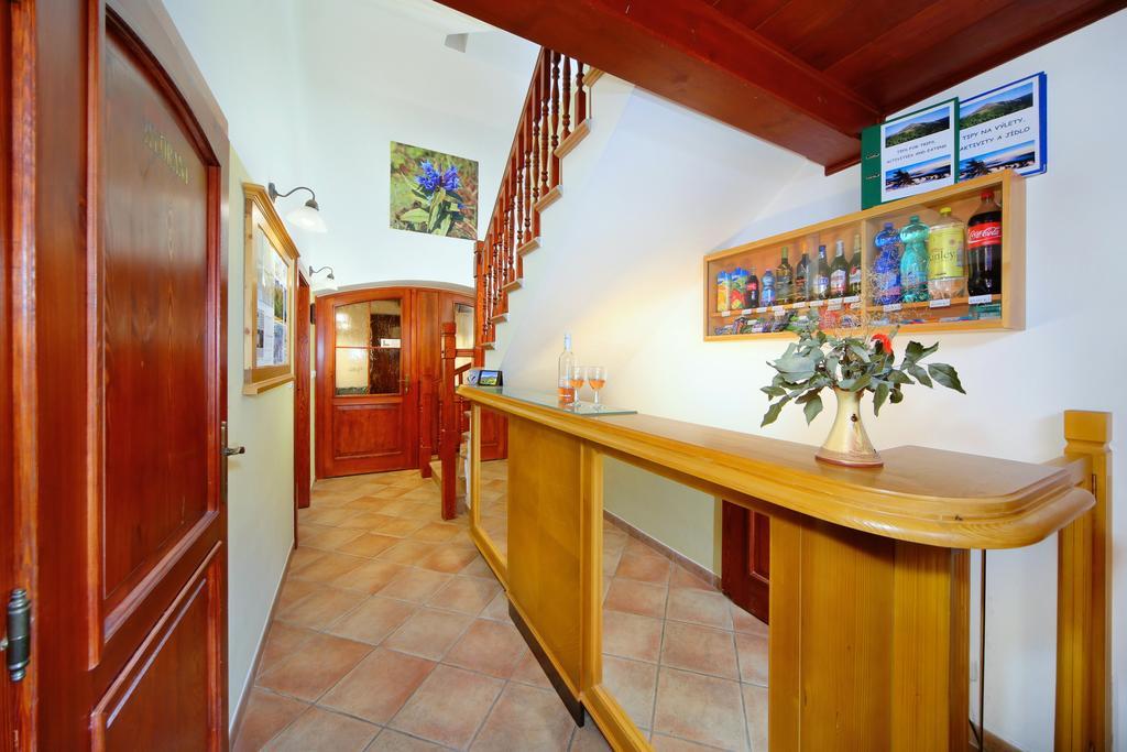 Pension Silva Špindlerŭv Mlýn Exterior foto